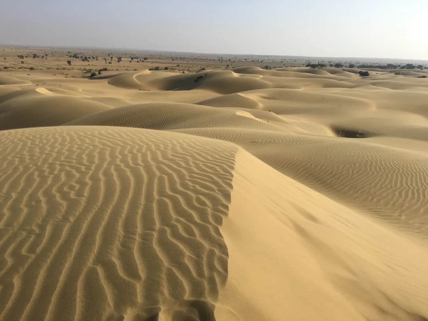 Golden sand dunes at Sam near Jaisalmer